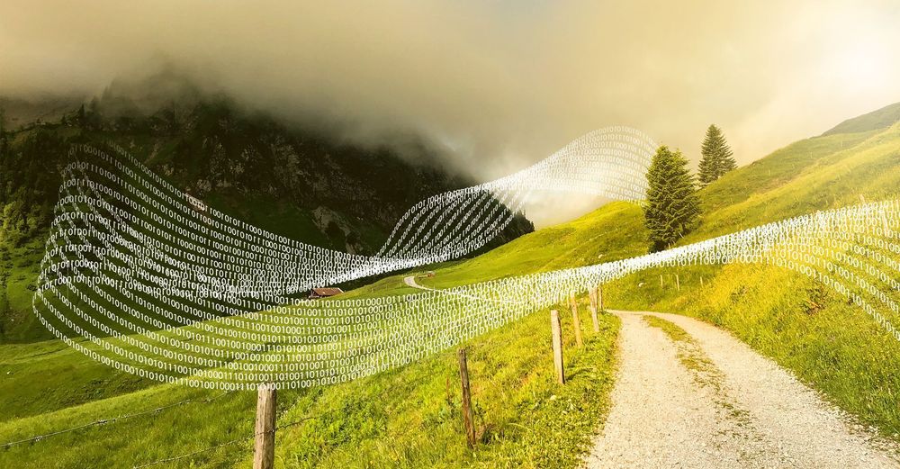 Exploramos nuevos caminos...